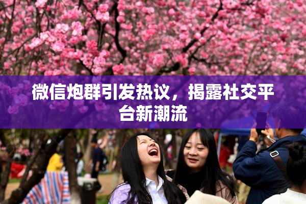 微信炮群引发热议，揭露社交平台新潮流