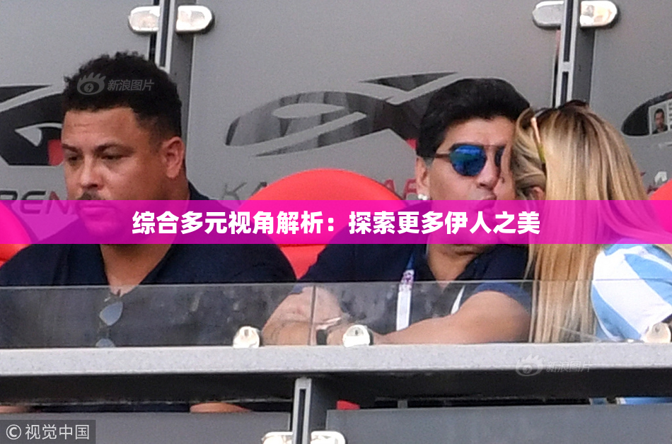 综合多元视角解析：探索更多伊人之美