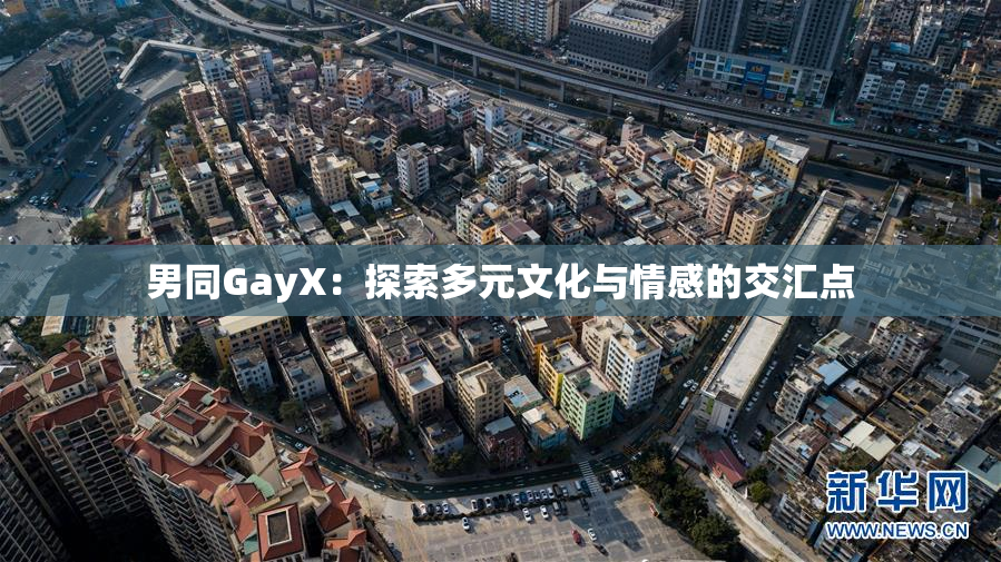 男同GayX：探索多元文化与情感的交汇点