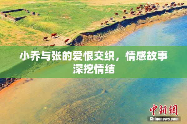 小乔与张的爱恨交织，情感故事深挖情结