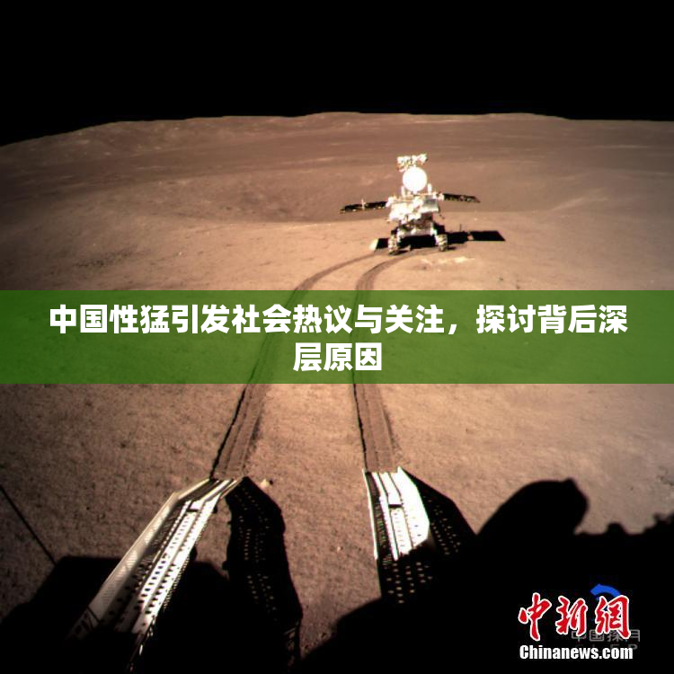 中国性猛引发社会热议与关注，探讨背后深层原因