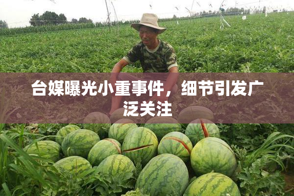 台媒曝光小重事件，细节引发广泛关注