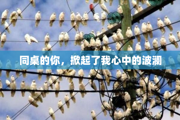 同桌的你，掀起了我心中的波澜