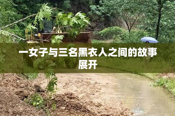 一女子与三名黑衣人之间的故事展开