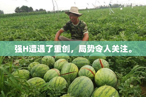 强H遭遇了重创，局势令人关注。
