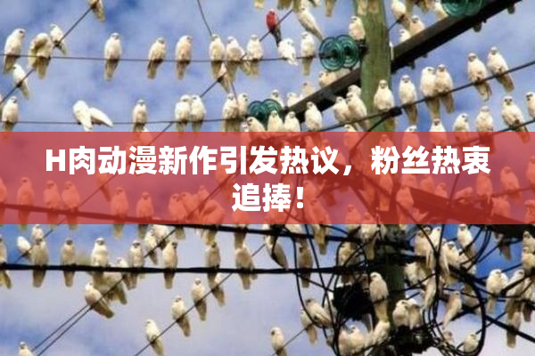 H肉动漫新作引发热议，粉丝热衷追捧！