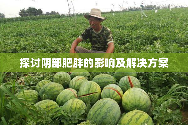 探讨阴部肥胖的影响及解决方案