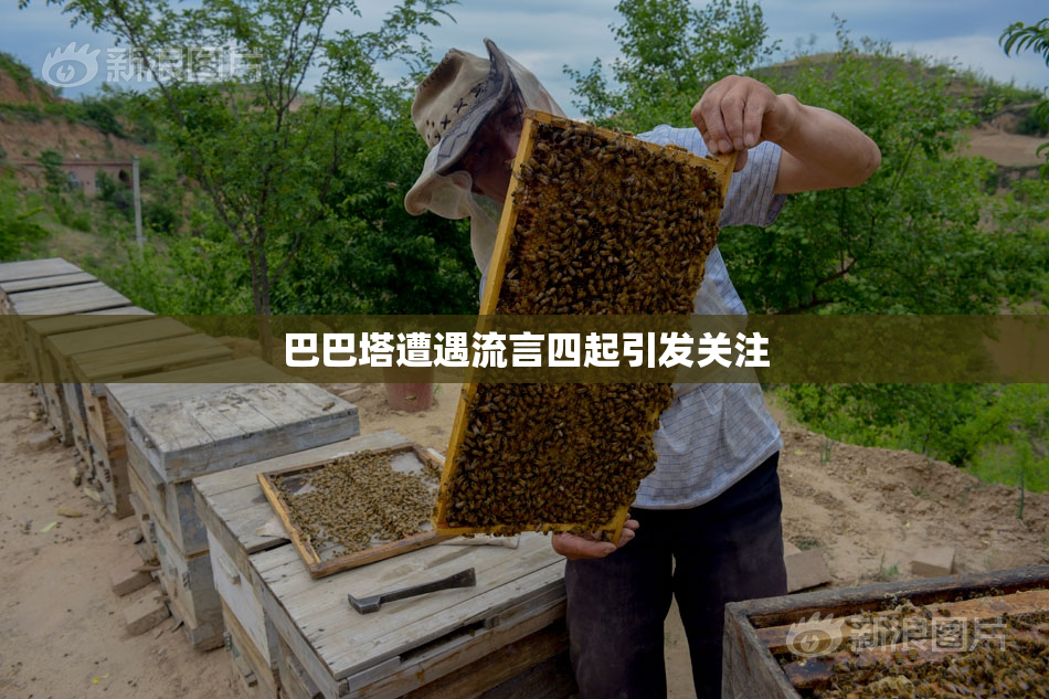 巴巴塔遭遇流言四起引发关注