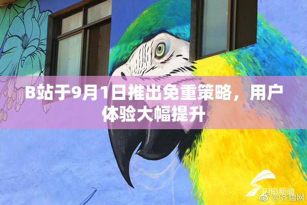 B站于9月1日推出免重策略，用户体验大幅提升