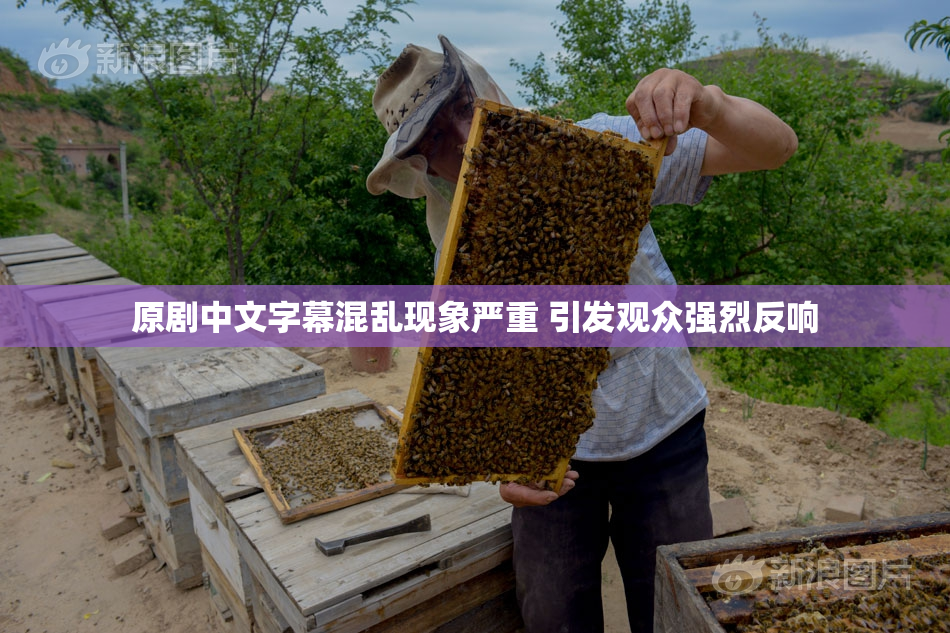 原剧中文字幕混乱现象严重 引发观众强烈反响