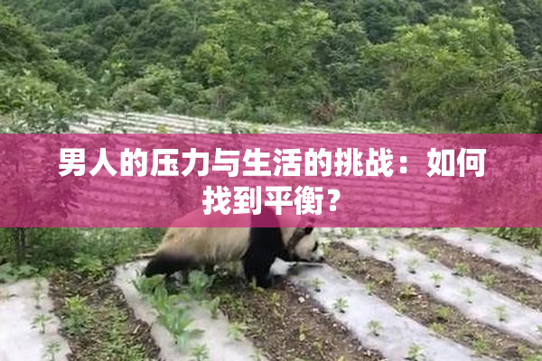 男人的压力与生活的挑战：如何找到平衡？