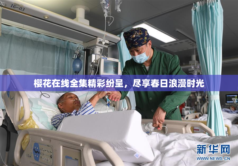 樱花在线全集精彩纷呈，尽享春日浪漫时光