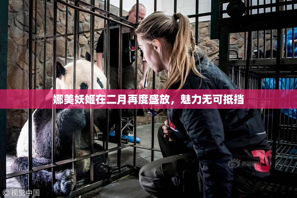娜美妖姬在二月再度盛放，魅力无可抵挡