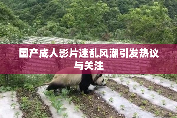 国产成人影片迷乱风潮引发热议与关注
