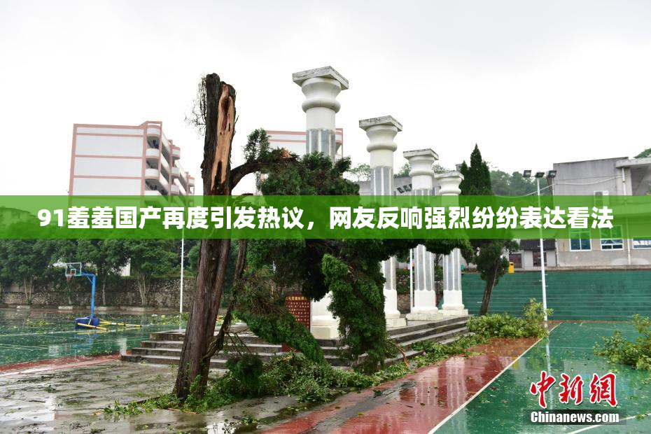 91羞羞国产再度引发热议，网友反响强烈纷纷表达看法