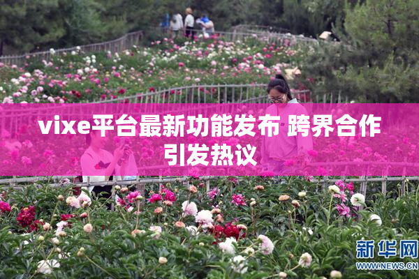 vixe平台最新功能发布 跨界合作引发热议
