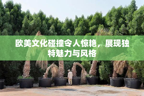 欧美文化碰撞令人惊艳，展现独特魅力与风格