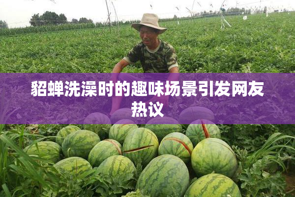 貂蝉洗澡时的趣味场景引发网友热议