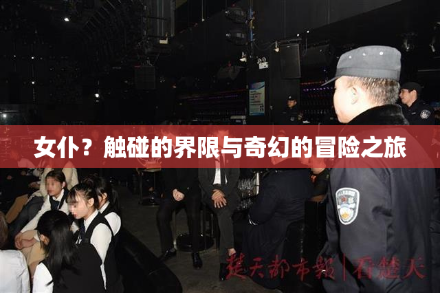 女仆？触碰的界限与奇幻的冒险之旅