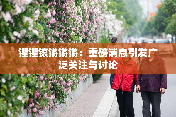 铿铿锿锵锵锵：重磅消息引发广泛关注与讨论