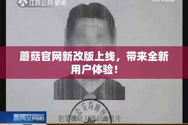 蘑菇官网新改版上线，带来全新用户体验！