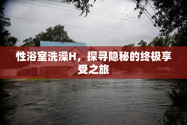 性浴室洗澡H，探寻隐秘的终极享受之旅