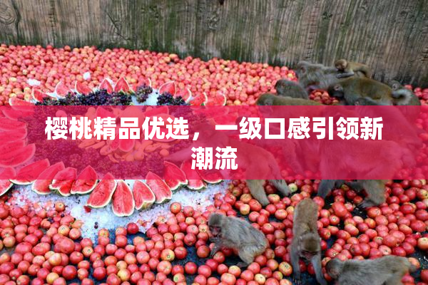 樱桃精品优选，一级口感引领新潮流