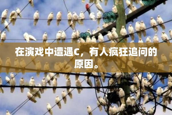 在演戏中遭遇C，有人疯狂追问的原因。