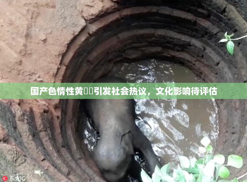 国产色情性黄❌‌引发社会热议，文化影响待评估