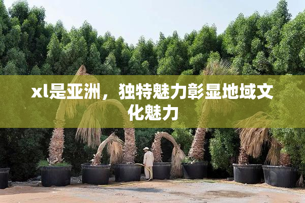 xl是亚洲，独特魅力彰显地域文化魅力
