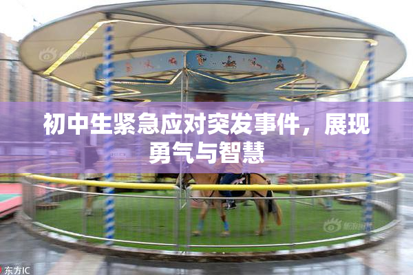 初中生紧急应对突发事件，展现勇气与智慧