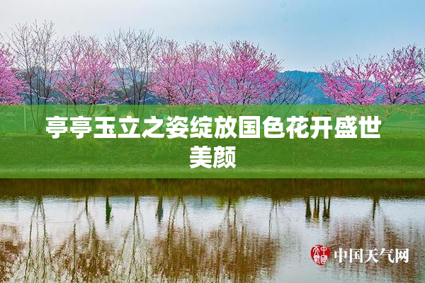 亭亭玉立之姿绽放国色花开盛世美颜