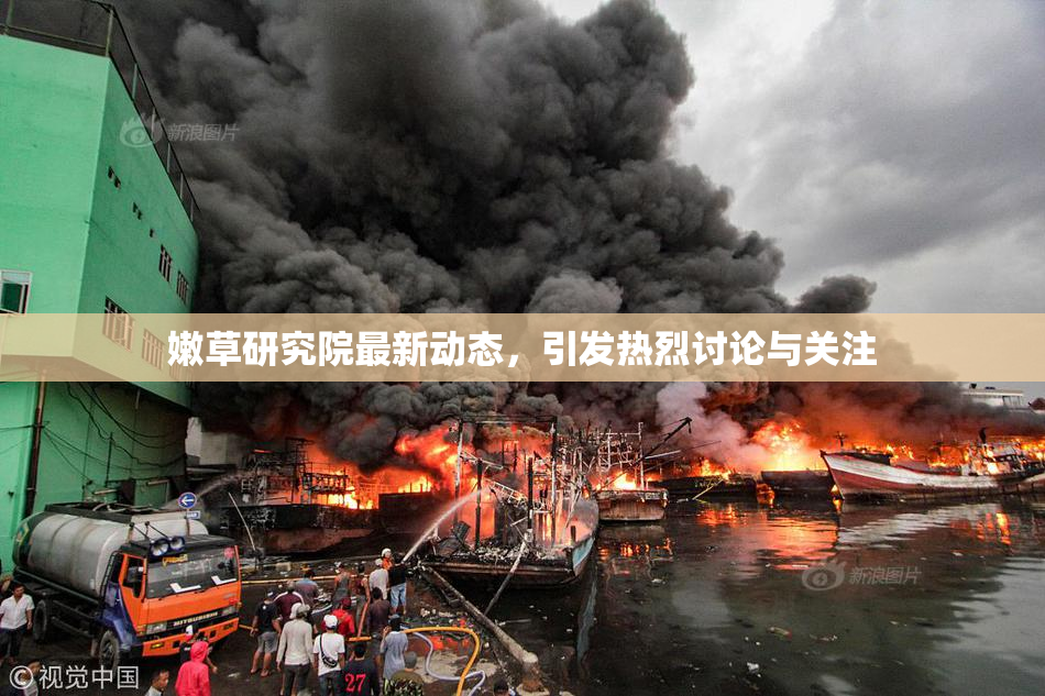 嫩草研究院最新动态，引发热烈讨论与关注