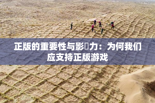 正版的重要性与影響力：为何我们应支持正版游戏