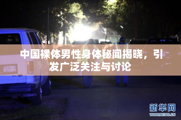 中国裸体男性身体秘闻揭晓，引发广泛关注与讨论