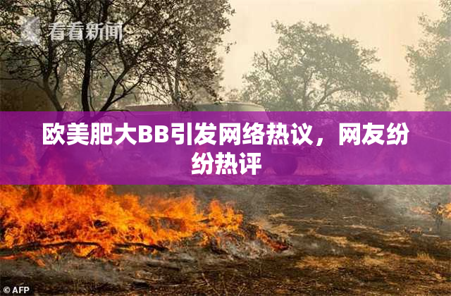 欧美肥大BB引发网络热议，网友纷纷热评