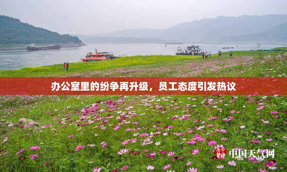 办公室里的纷争再升级，员工态度引发热议
