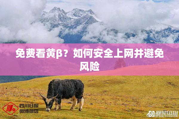 免费看黄β？如何安全上网并避免风险