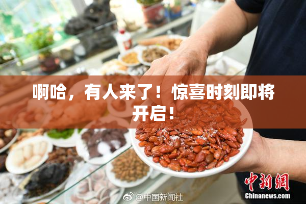 啊哈，有人来了！惊喜时刻即将开启！