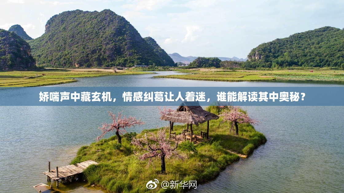 娇喘声中藏玄机，情感纠葛让人着迷，谁能解读其中奥秘？