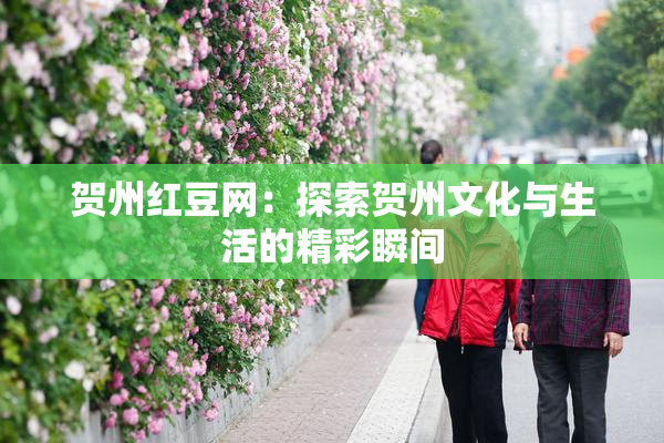 贺州红豆网：探索贺州文化与生活的精彩瞬间