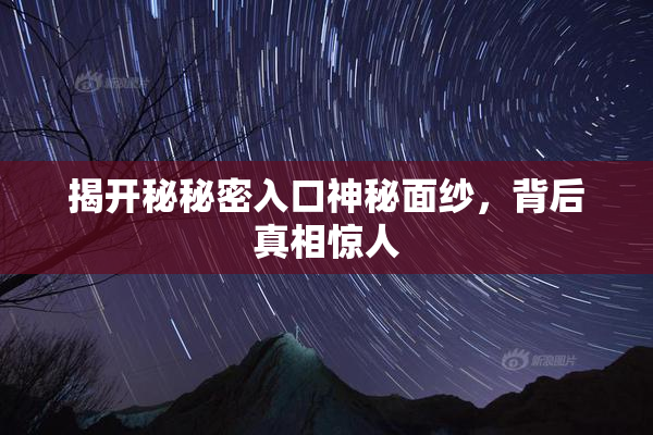 揭开秘秘密入口神秘面纱，背后真相惊人