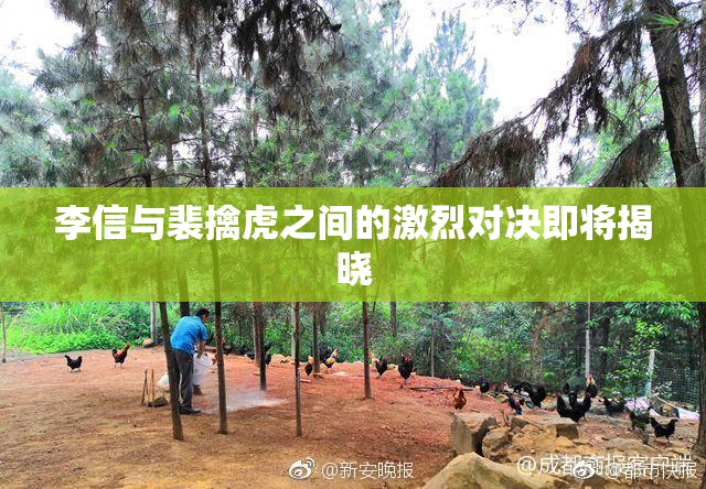 李信与裴擒虎之间的激烈对决即将揭晓