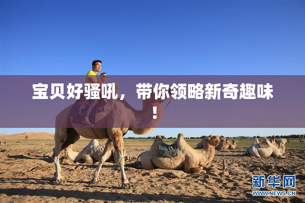 宝贝好骚吼，带你领略新奇趣味！