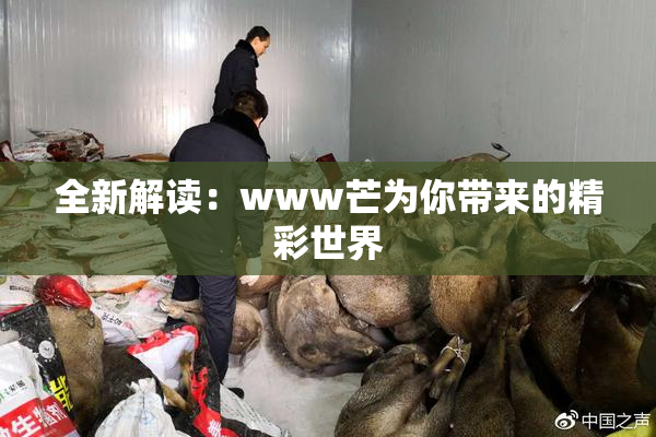 全新解读：www芒为你带来的精彩世界