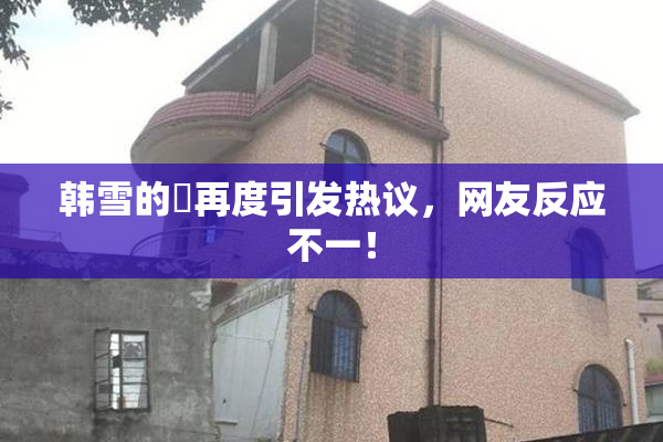 韩雪的婬再度引发热议，网友反应不一！