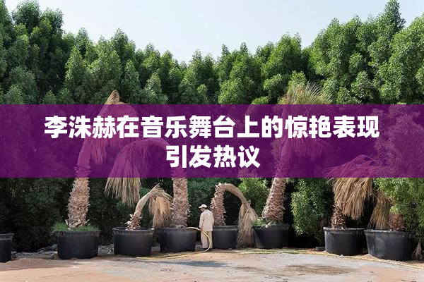 李洙赫在音乐舞台上的惊艳表现引发热议