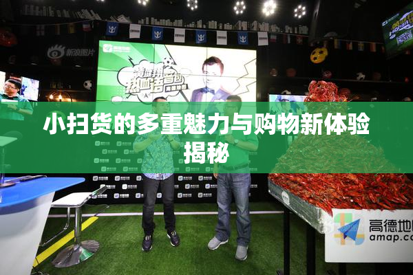 小扫货的多重魅力与购物新体验揭秘