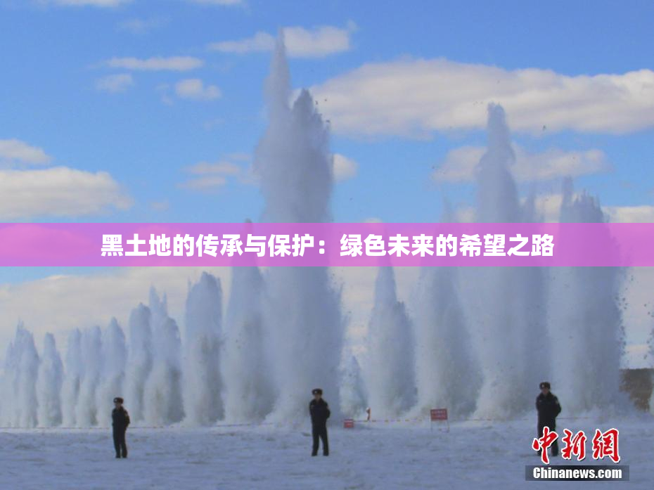 黑土地的传承与保护：绿色未来的希望之路