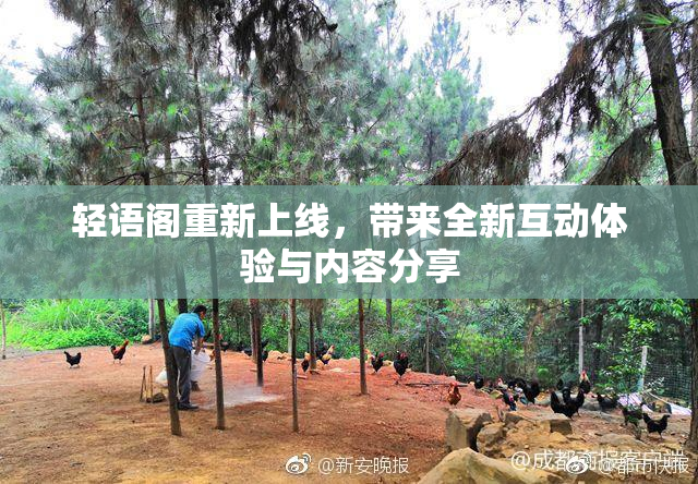 轻语阁重新上线，带来全新互动体验与内容分享